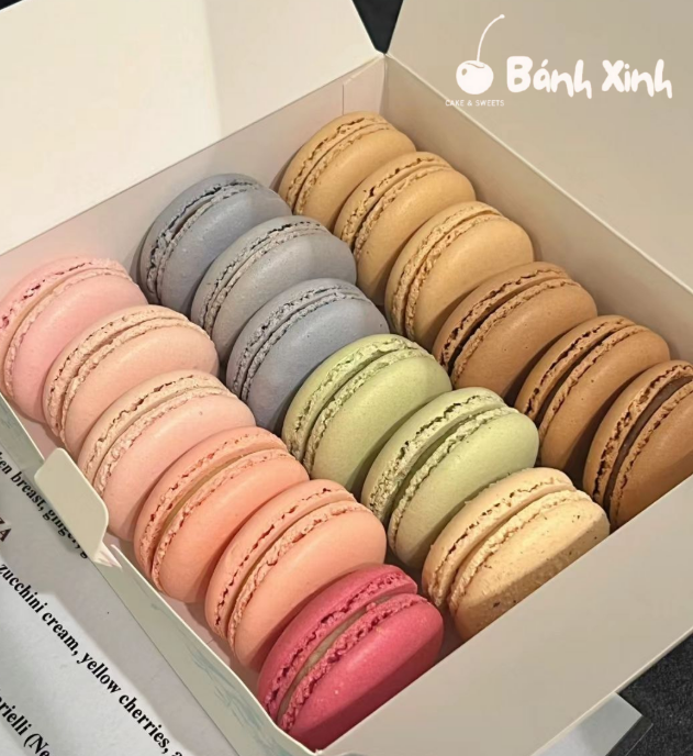 Cách bảo quản bánh macaron