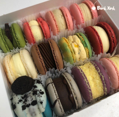 bánh macaron